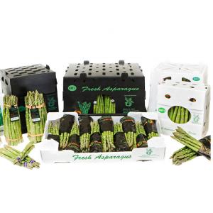 Quality 10kg Load PP Corrugated Plastic Packaging Boxes Asparagus Artichokes Storage for sale