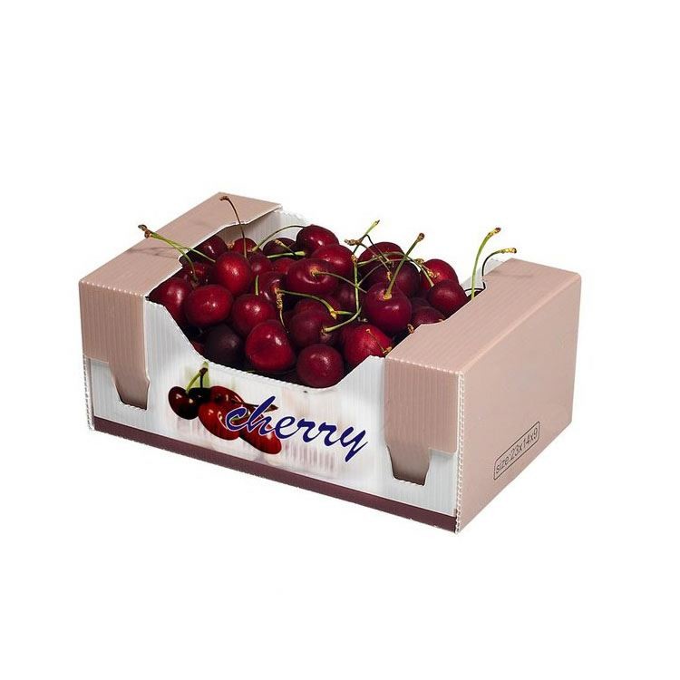 Quality Corflute Coroplast Corrugated Plastic Storage Box For Packing Fruits Vegetable for sale