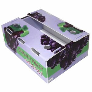Quality Recyclable Corrugated Correx PP Plastic Fruit Box Coroplast Packaging Box for sale