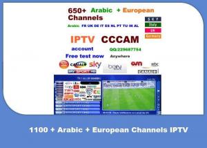 Quality Smart Android IPTV APP With 650+ Arabic And European Channels for sale