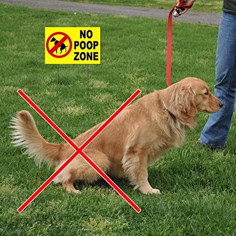 Quality ODM No Pooping Dog Signs 8x12 Coroplast Double Side Yard Signs With Stakes for sale