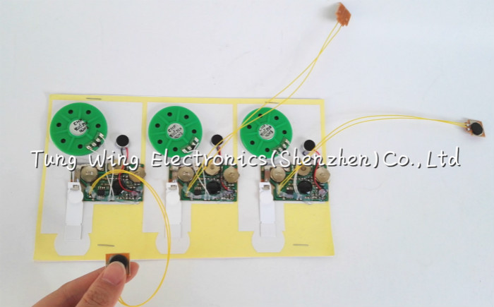 Quality 10 seconds Recordable Sound Module For Birthday , Custom Voice Greeting Cards for sale