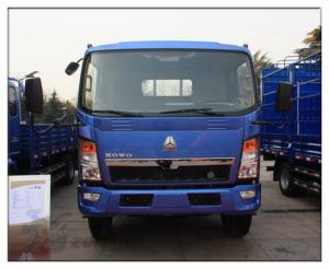 Quality cheap new HOWO 4x2 cargo truck for sale for sale