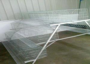 Quality Large Capacity Poultry Egg Farm Equipment A Type Hot Dip Galvanized Steel for sale