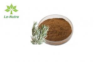 Quality Natural Antioxidant Rosmarinus Officinalis Leaf Extract Powder for sale
