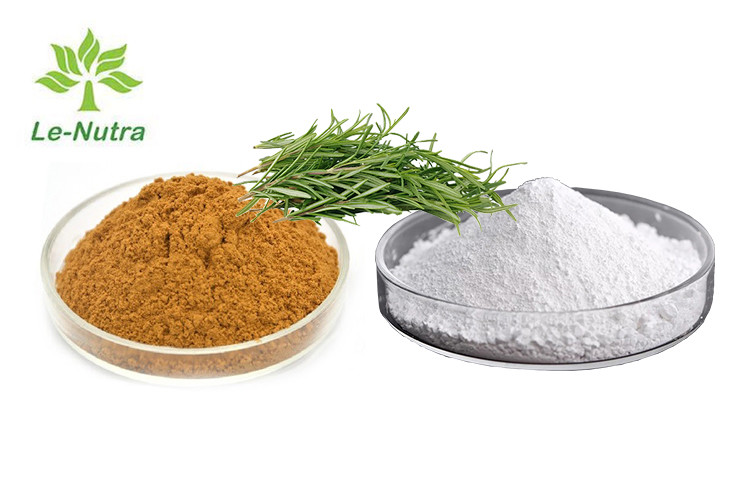 Quality Herbal Rosemary Oleoresin Extract Rosmarinic Acid Powder for sale
