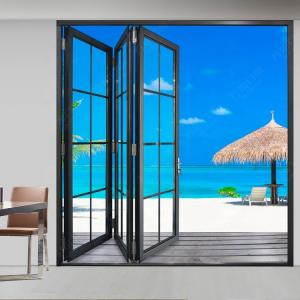 Quality Tempered TS8457 2mm Foldable Glass Doors For Home for sale