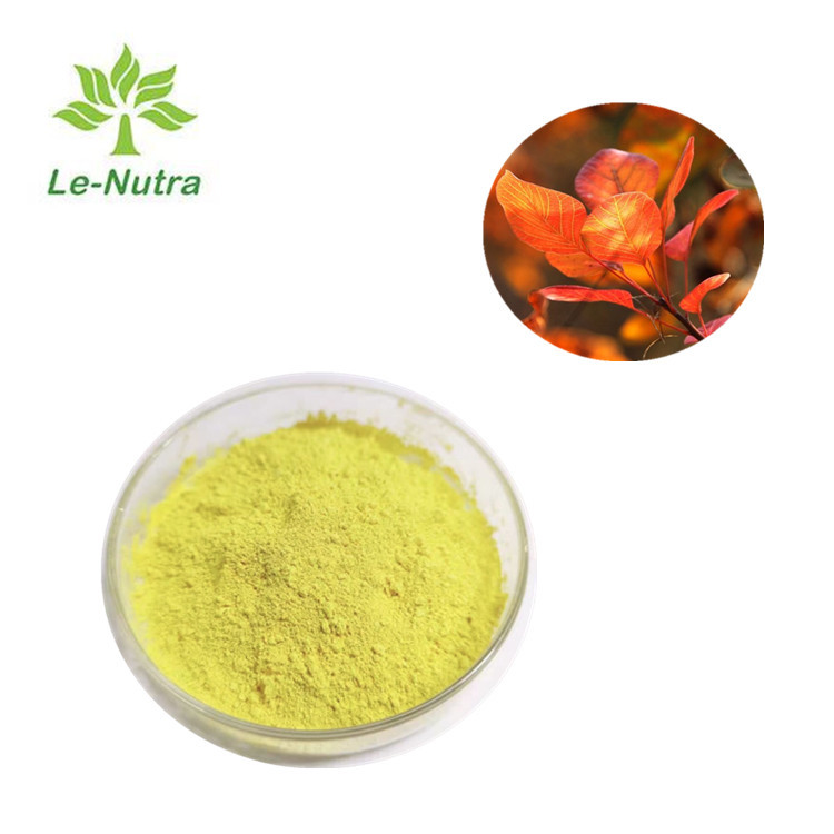 Quality Le Nutra Natural Fisetin Powder for sale