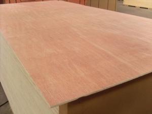 Quality Poplar Core Commercial Plywood Bintangor B/BB Face 2 Time Hot Press Processing for sale