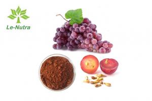 Quality 95% Dietary Supplement Powder Grape Seed Extract polyphenols proanthocyanidins for sale