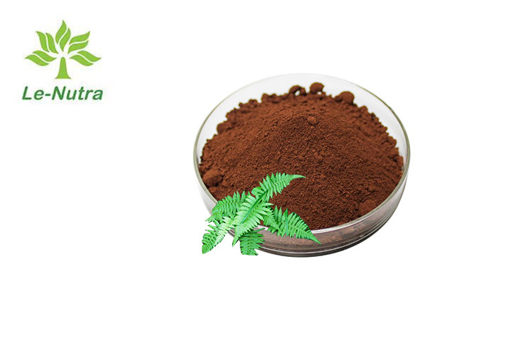 Quality Rhizoma Drynariae Extract Herbal Extract Powder For Fractures for sale