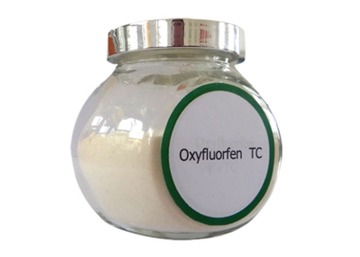 China Herbicide Oxyfluorfen Powder API And 224% Oxyfluorfen EC CAS 42874-03-3 on sale