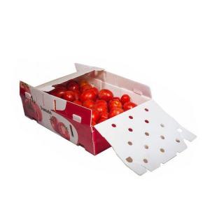 Quality Corflute Coroplast Corrugated Plastic Storage Box For Packing Fruits Vegetable for sale