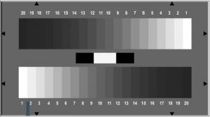 Quality OECF / NOISE Digital Image Resolution Chart YE0259 20 Gray Patches Chart Transparent for sale