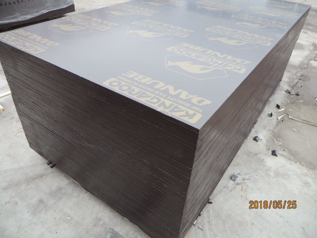 Quality Building Materials kangaroo brand plywood for sale