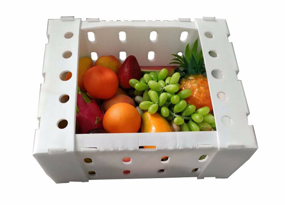 Quality Vegetable Corrugated Plastic Packaging Boxes OEM for sale