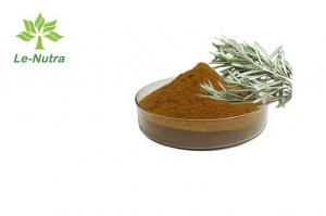 Quality Herbal Rosemary Leaf Extract Powder Antioxidant For Skin for sale