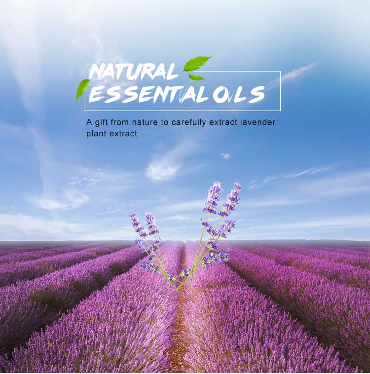 Antimicrobial Property Plant Essential Oil For Ambient Scenting Machine