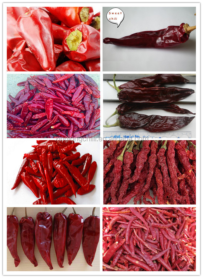 New Crop Kinds of Hot Chiles