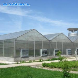Buy cheap Commercial Polycarbonate Sheet Greenhouse / PC Sheet Greenhouse Customized Material from wholesalers
