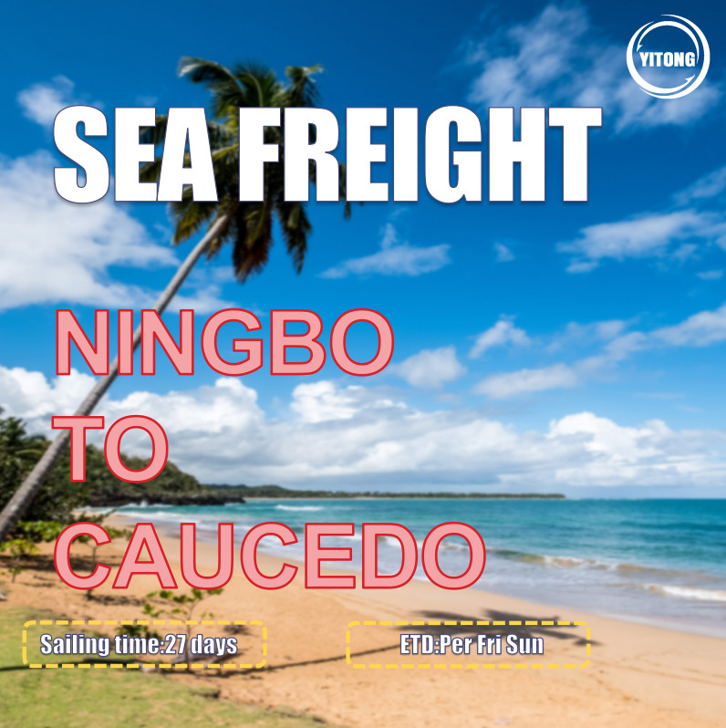 Quality 27 Days Sea Freight Shipping Agency From Ningbo To Caucedo Dominican Republic for sale