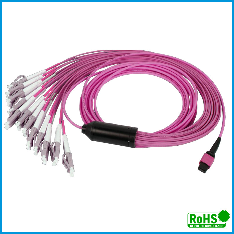 Customized Multi Color MPO To MPO Cable , 24 Fibers Multimode Patch Cord