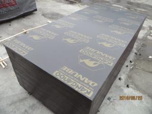 Quality Building Materials kangaroo brand plywood for sale
