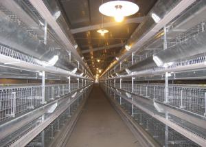 Quality 4 Tiers Livestock Farming Equipment Stainless Steel Tube Indoor Use for sale