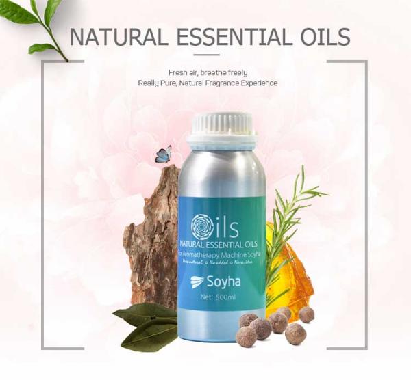 Anti Aging 100 Pure Essential Oils , Nourishing Organic Essential Oils