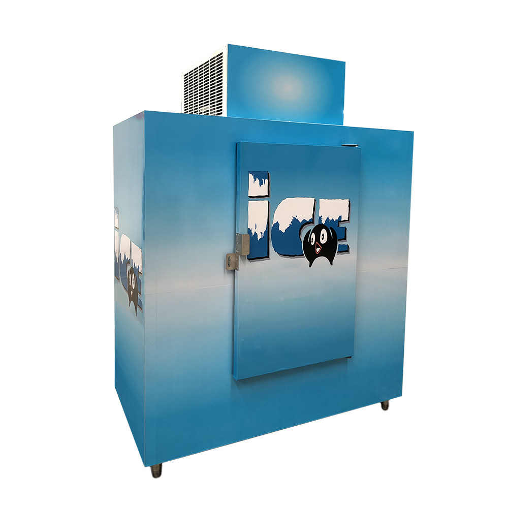Quality Outdoor ice merchandiser, cold wall ice freezer for sale for sale
