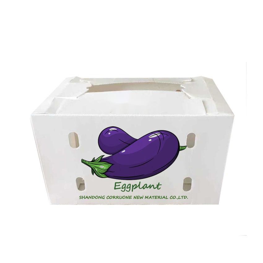 Quality Fruit Vegetable Corrugated Plastic Packaging Boxes for sale
