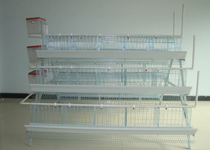 Quality Battery Chicken Farm Poultry Equipment With Auto Chicken Feeding System for sale