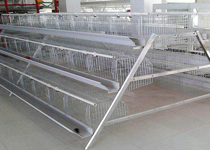 Quality Durable Layer Poultry Farming Equipment High Rearing Efficiency Easy Operation for sale
