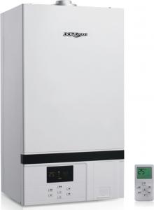 Quality Remote Easy Control Wall Hung Gas Boiler For Heating And Hot Water Supply for sale