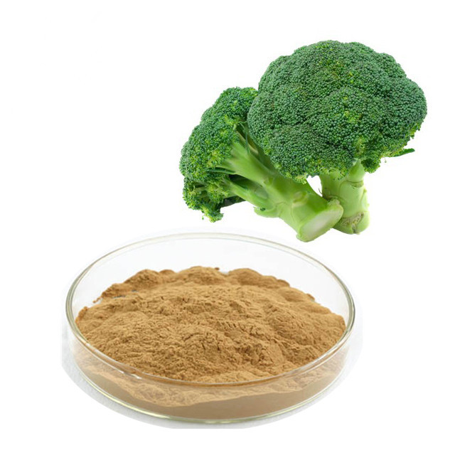 Quality 1% Broccoli Seed Extract Sulforaphane Powder for sale