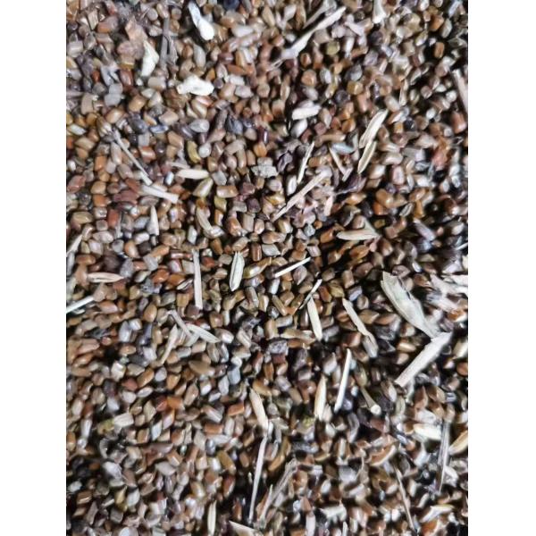 Optical Cassia Seed CCD Camera Color Sorting Machine Multiple Function