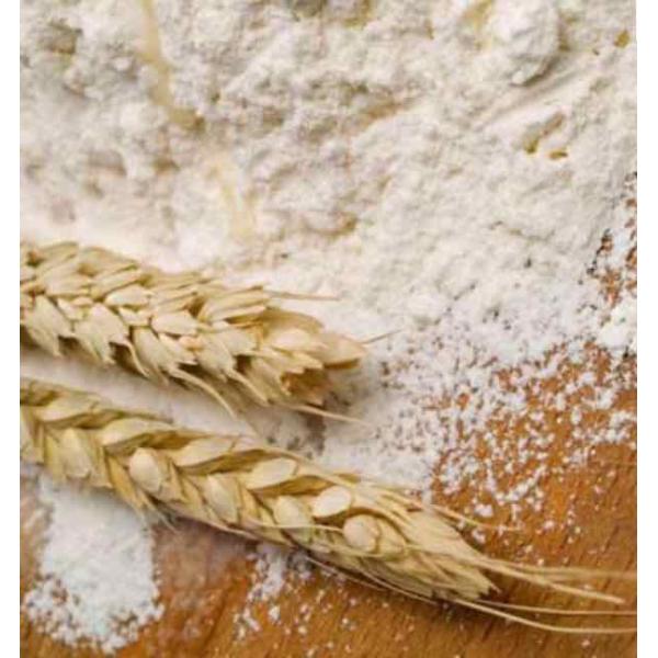 Nissan 5000kg corn flour mill Wheat flour processing machine