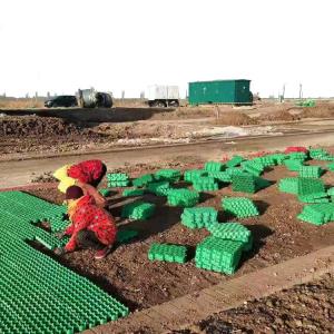 Quality Green Parking and Garden Honeycomb Gravel Grass Paver Manufactured from HDPE Plastic for sale