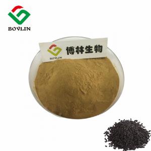 Quality CAS 490-91-5 Nigella Sativa Extract Thymoquinone Powder HPLC for sale