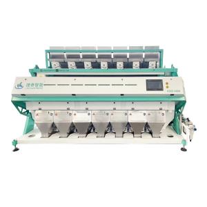 Quality Durable Walnut Coffee Bean Sorting Machine CE ISO9001 Approved for sale