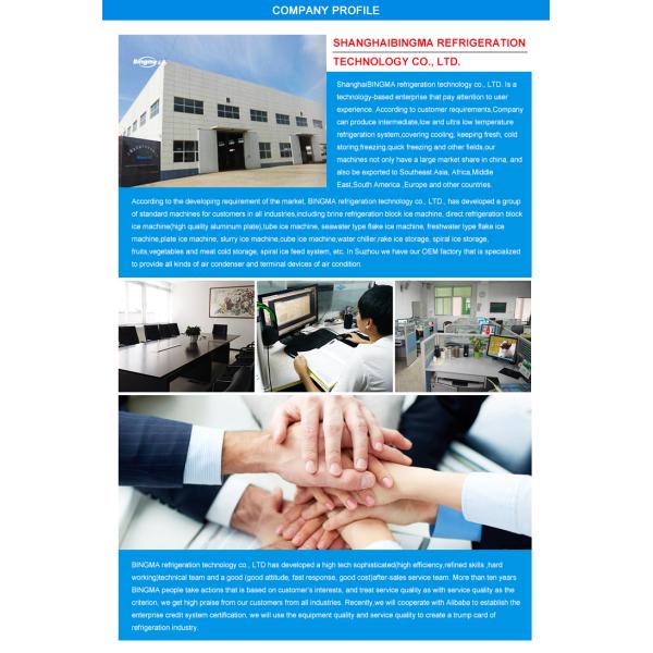 5T Brind Machine Shape Refrigerator Ice Block Moulding Machine