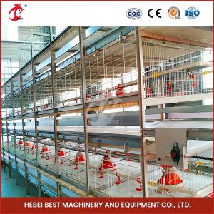 Quality Maximize Rearing Efficiency With Chicken Husbandry Cage System Cage Type A Rose for sale