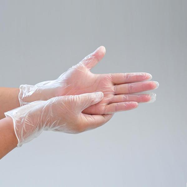 Disposable vinyl hand gloves/dental vinyl gloves/powdered or powder free vinyl gloves