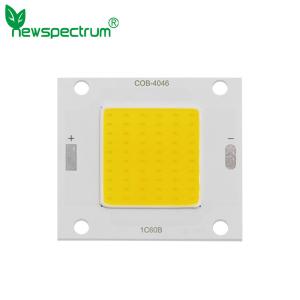 Quality DC COB Solar Led Module High Luminance Fast Heat Dissipation for sale