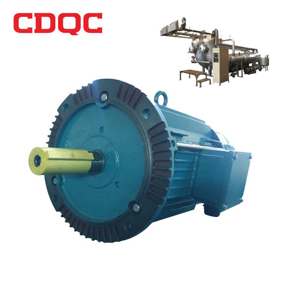 Dyeing Induction AC Permanent Magnet Synchronous Motor High Temperature