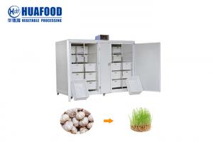 Quality 250kg/d Automatic Quick Mung Bean Sprout Machine Barley Bean Sprout Machine for sale