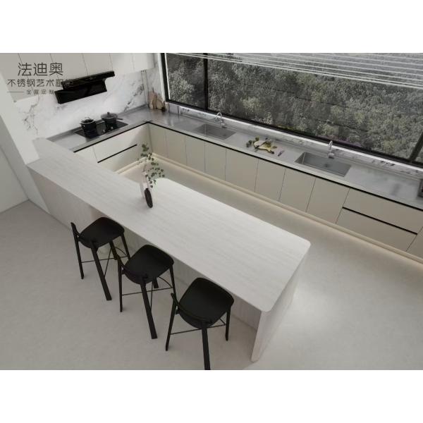 White Stainless Steel Kitchen Cabinets with Integrated Appliances