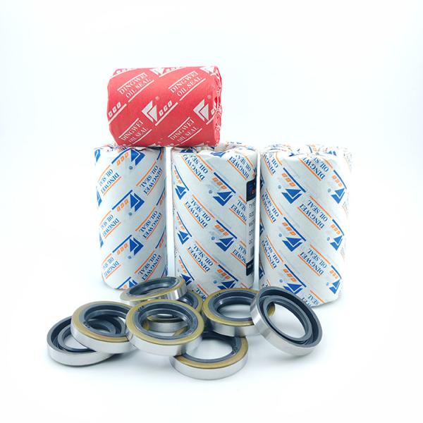 Mechanical SB Type Oil Seal Double Lip Seals For Temperature Environments
