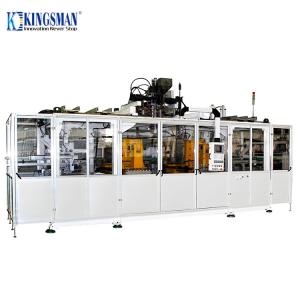 China Fully Automatic Blow Moulding Machine , HDPE PP Bottle Blow Molding Machine on sale