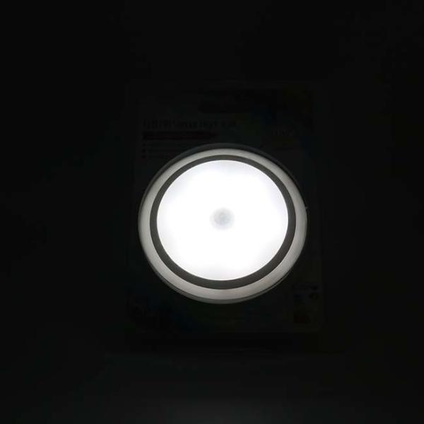 3000K DC4.5V 6PCS LED PIR Lamp